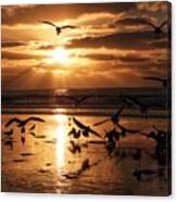 Sunset Seagull Party Canvas Print