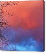 Sunset Softness Canvas Print