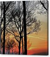 Sunset Symphony Canvas Print