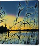 Sunset Through The Native Grasses Canvas Print