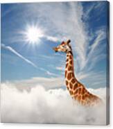 Surreal Scene With Huge Giraffe Through The Clouds. Aerial View, Abstract Conceptual Image. Canvas Print