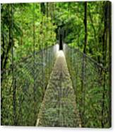 Suspension Bridge Canvas Print