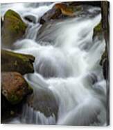 Swallow Falls Waterfall Canvas Print