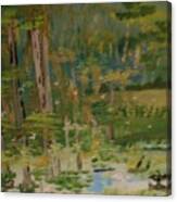 Swamp Heaven Painting # 379 Canvas Print