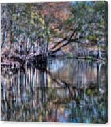 Florida Swamp Reflections 1 Canvas Print