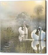 Swans In The Mist Canvas Print