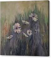 Sweet Grass And Daisies Canvas Print