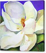 Sweet Magnolia Canvas Print