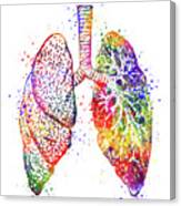 Lungs Anatomy Art Colorful Watercolor Gift Anatomical Decor Canvas Print