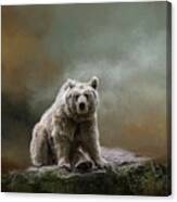 Syrian Brown Bear-4 Canvas Print