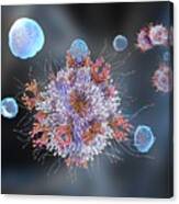 T Cell Binding Antigen, Illustration Canvas Print