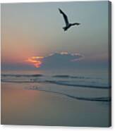 Taking Flight At Sunrise - Wildwood Crest New Jersey Canvas Print