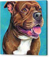 Tallulah The Staffordshire Bull Terrier Dog Canvas Print