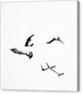 Tancho Crane Canvas Print