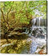 Tanyard Creek Waterfall To The Side Canvas Print