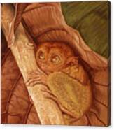 Tarsier In Place Canvas Print