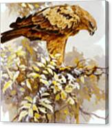 Tawny Eagle Canvas Print