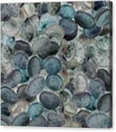 Teal Beach Rocks Collection Watercolor I Canvas Print