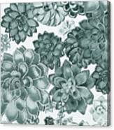 Teal Gray Succulent Plants Garden Watercolor Art Decor V Canvas Print