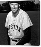 Ted Williams Canvas Print