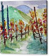 Temecula Vineyard Landscape Canvas Print