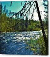 Temperance River From My Campsite Canvas Print