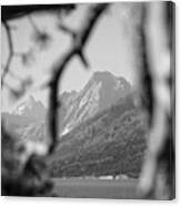 Teton In The Black And White Canvas Print
