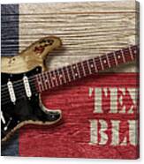 Texas Blues Canvas Print