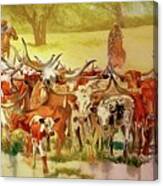 Texas Cattle Drive Canvas Print