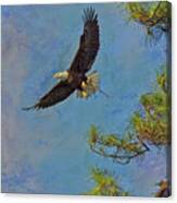 Textured Eagle With Twig Canvas Print