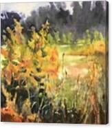 The Back Meadow Canvas Print