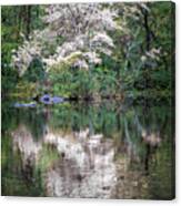 The Beauty Of Lake Reflections In Green And White Canvas Print