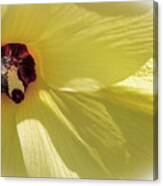 The Bee Within Canvas Print