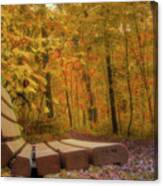 The Bench In The Golden Forest Canvas Print