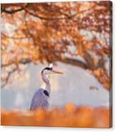 The Blue Heron And The Red Tree Canvas Print