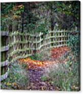 Autumn Colours Ireland #2 Canvas Print