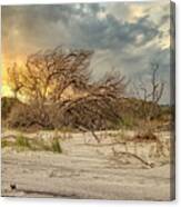 The Burning Bush Canvas Print