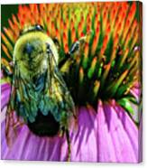 The Busy Bee Canvas Print