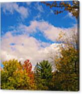 The Changing Colors Of Fall In Illinois Canvas Print