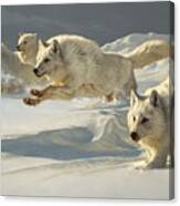 The Chase Canvas Print