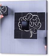 The Concept Of The Human Brain. Education, Science And Medical Concept.  Brain Drawn In Chalk On Black Cubes. Canvas Print