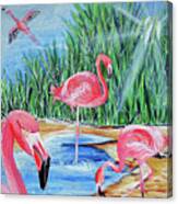 The Flamingos Canvas Print