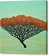 The Floating Tree Canvas Print