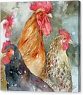 The Flock_chickens Canvas Print