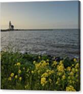 The Horse Of Marken, A Lighthouse On The East Side Of The Small Island Of Marken In The Netherlands Canvas Print