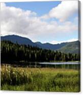 The Lake In The Meadow Canvas Print