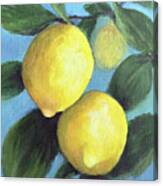 The Lemon Tree Ii Canvas Print