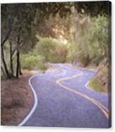 The Long And Winding Road Canvas Print