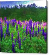 The Lupine Stand Canvas Print