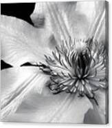 The Magic Within Bw Canvas Print